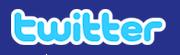 Click the Twitter Logo...